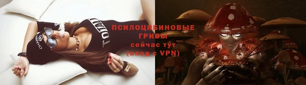 МДМА Бородино