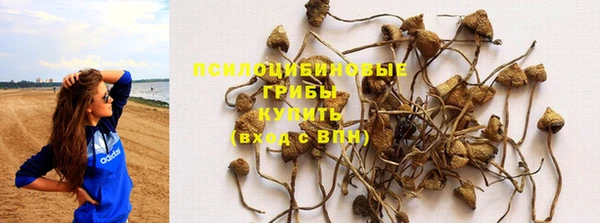 mdpv Бронницы
