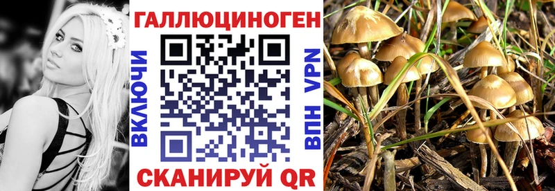 нарко площадка телеграм  Кирово-Чепецк  Галлюциногенные грибы GOLDEN TEACHER 